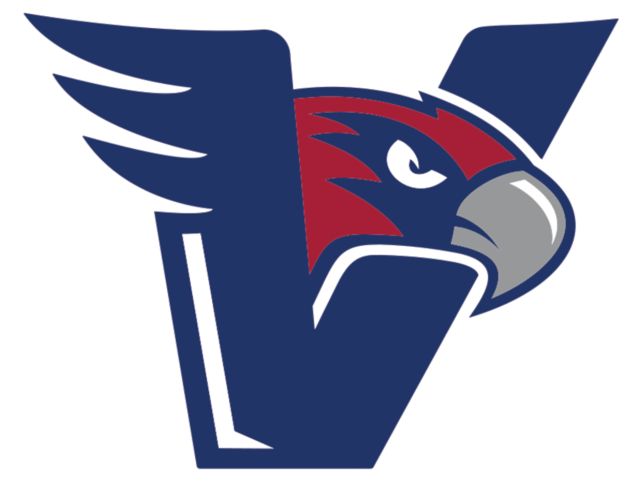 Viterbo Medium Decal Viterbo V-Hawks Primary Athletic Mark - ONLINE ONLY