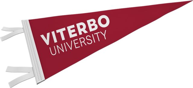 Viterbo University 9'' x 24'' Pennant