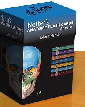NETTER ANAT FLASH CARDS 3E